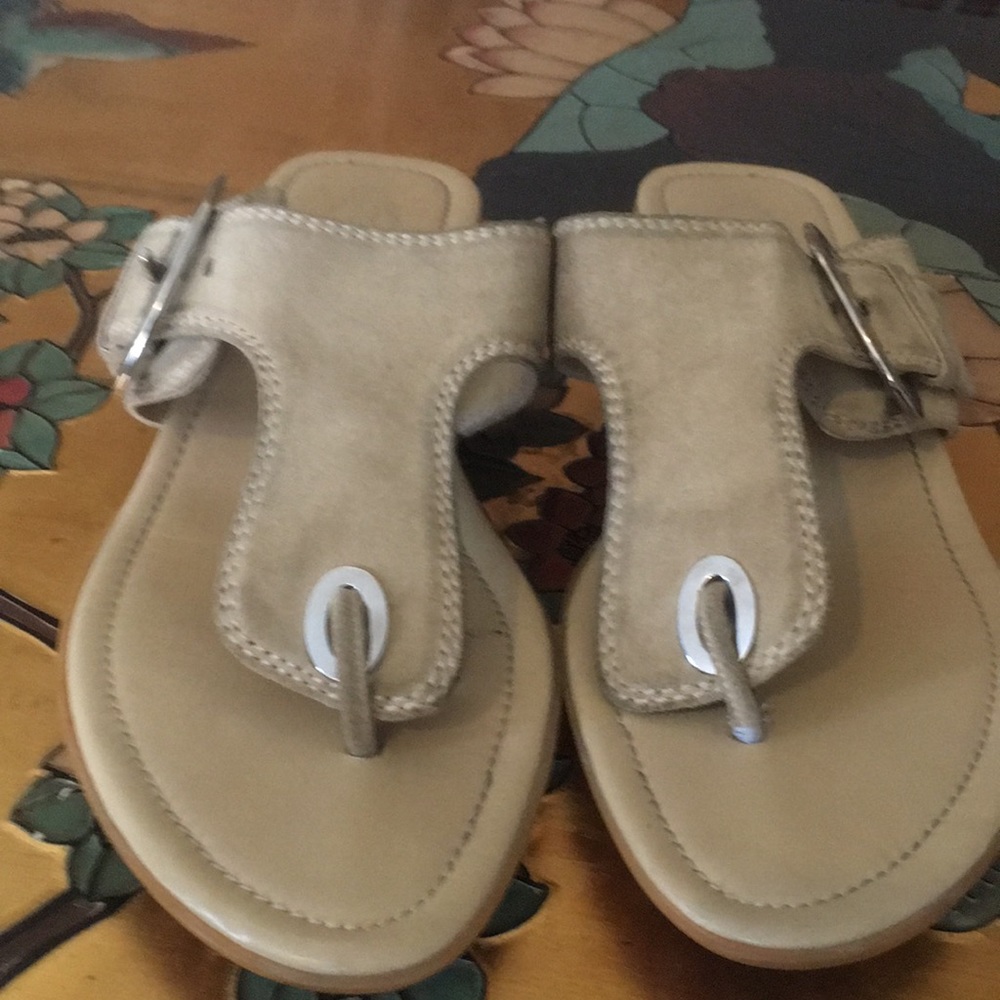 Tod’s shoes